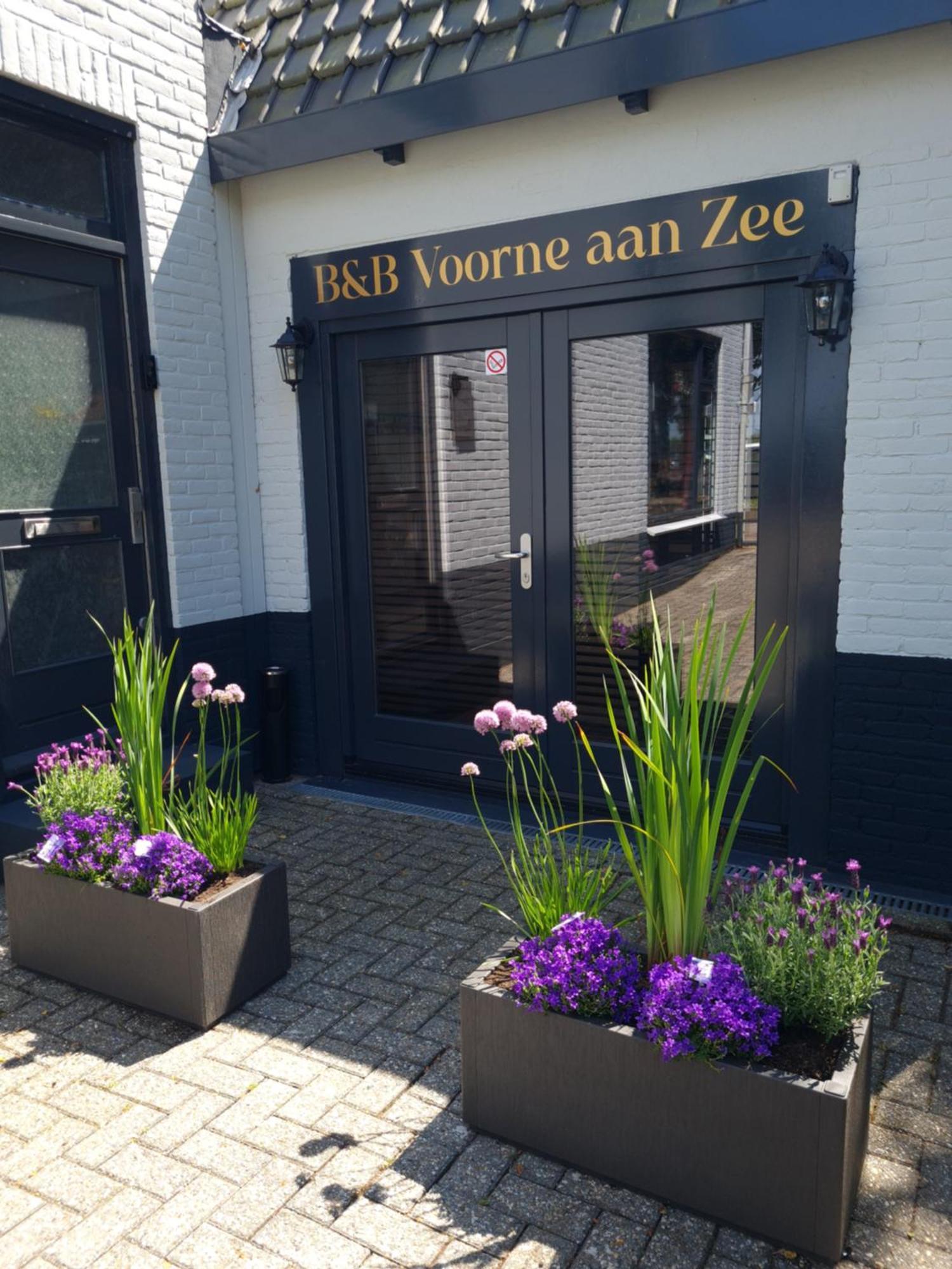 B&B Voorne Aan Zee Rockanje Εξωτερικό φωτογραφία